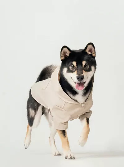 Bowery Raincoat Beige Move