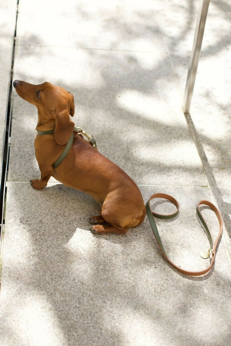 Leather Dog Cross Harness