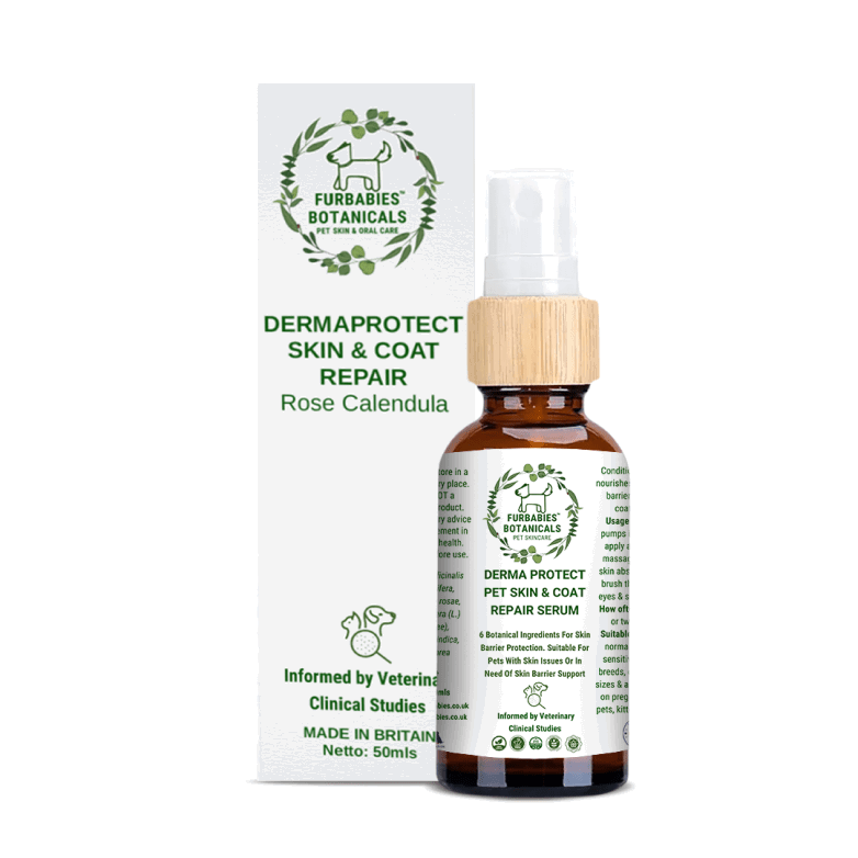 ROSE CALENDULA DERMAPROTECT SKIN REPAIR SERUM (50mls) - FurBabies™ Botanicals | Pet Skin Barrier Repair - ROSE CALENDULA DERMAPROTECT SKIN REPAIR SERUM (50mls) - VETERINARY RESEARCH INFORMED PET SKIN & ORAL CARE