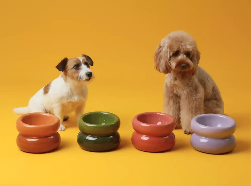 Soufflé Pet Bowl Frozen Blue 17