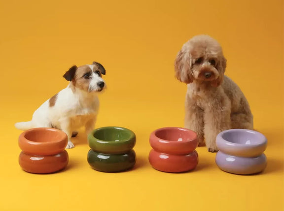 Soufflé Pet Bowl Frozen Blue 17