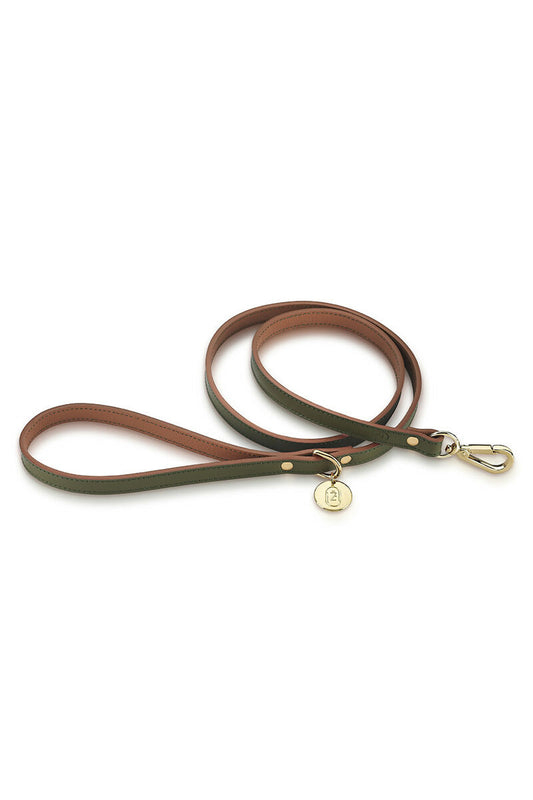 Leather Dog Leash