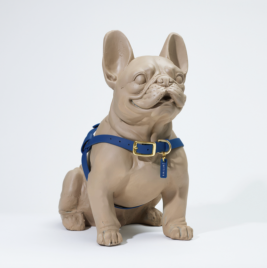 Waterproof Jellies Harness - Sailor