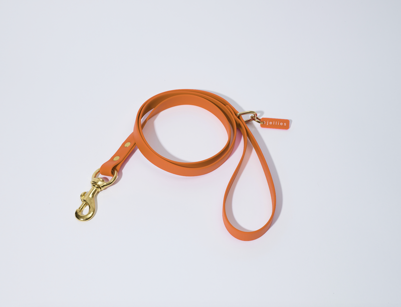 Waterproof Jellies Leash - Spice