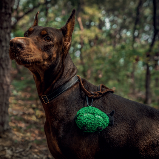 🐑✨ Sheep Poop Bag Dispensers — Green & White