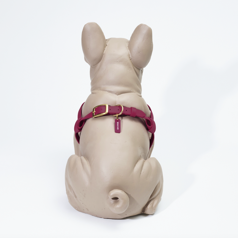 Waterproof Jellies Harness - Pomegranate