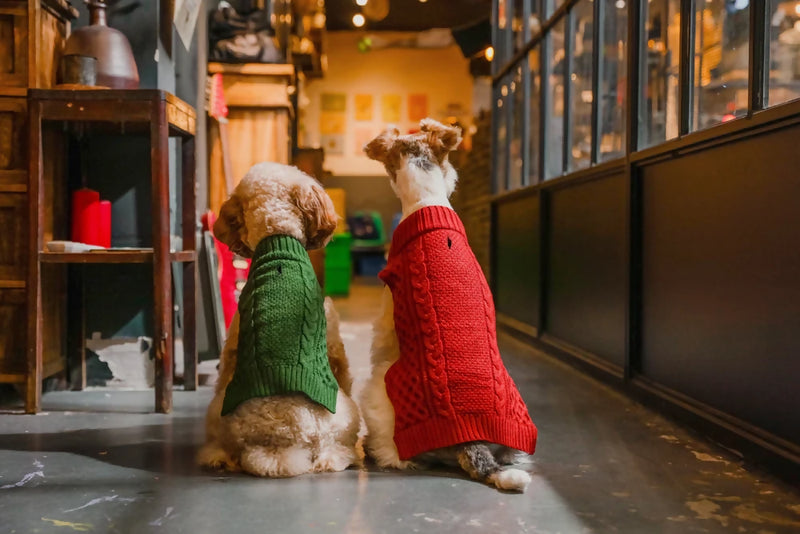 Pet Sweater Vest Green & Red 2