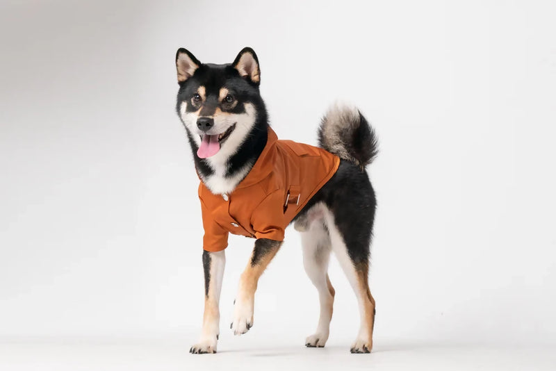 Bowery Raincoat Orange 3