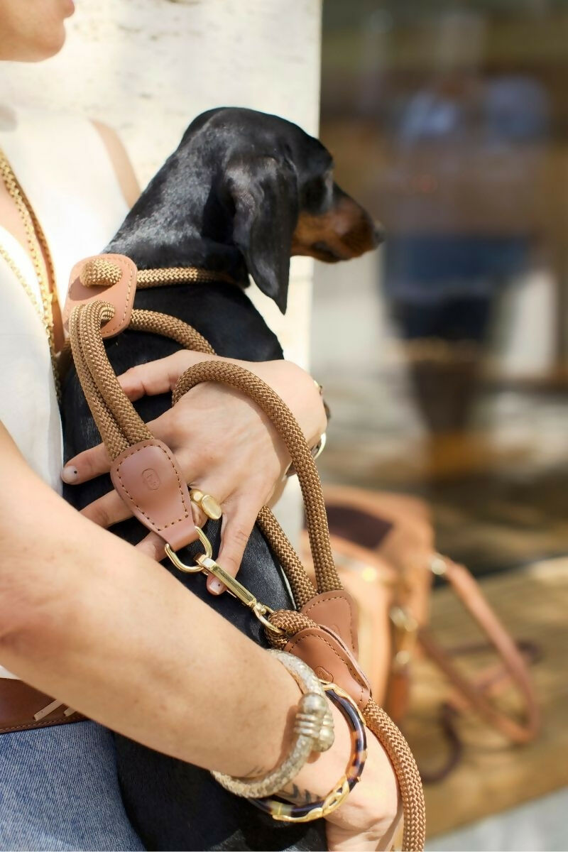 Paracord and Leather Dog Harness