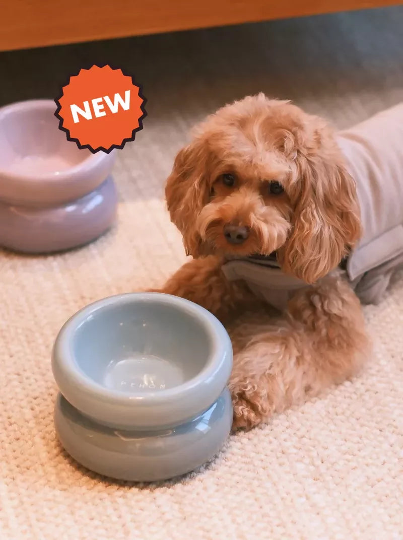 Soufflé Pet Bowl Frozen Blue