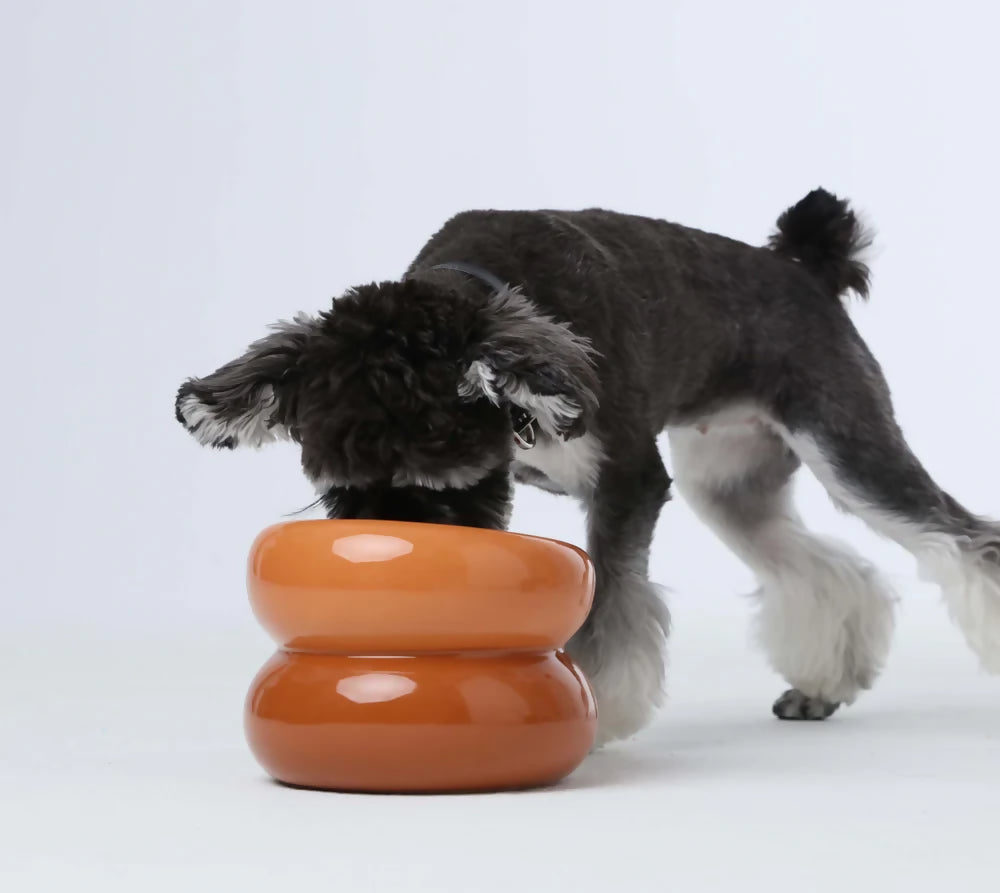 Soufflé Pet Bowl Amber Orange 2