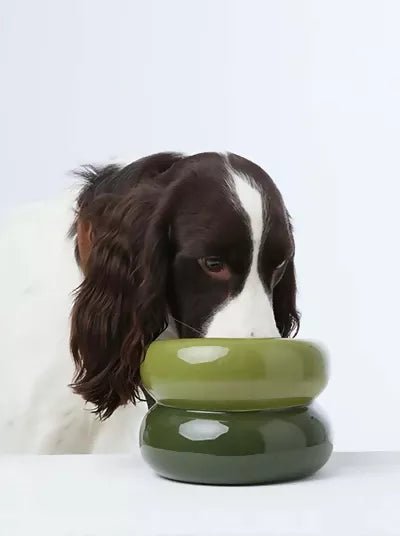 Soufflé Pet Bowl Avocado Green