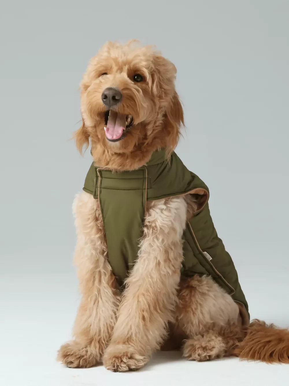 Reversible Dog Vest Jacket Green Brown 3