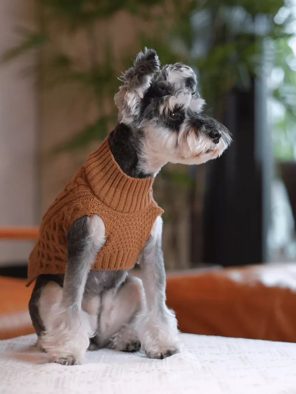 Pet Sweater Vest Toffee Orange Side