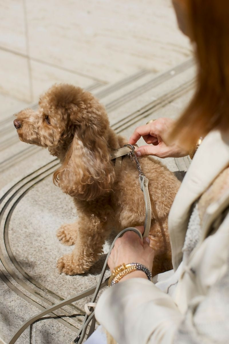 Leather Dog Cross Harness