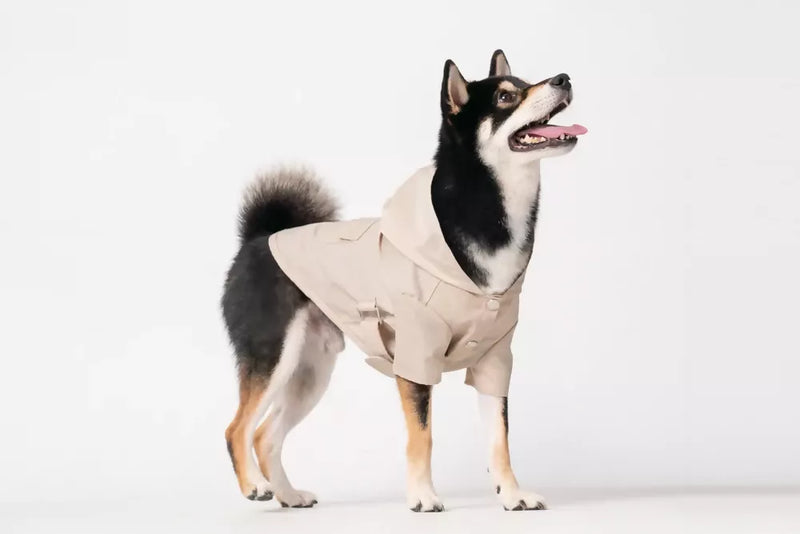 Bowery Raincoat Beige Side 2