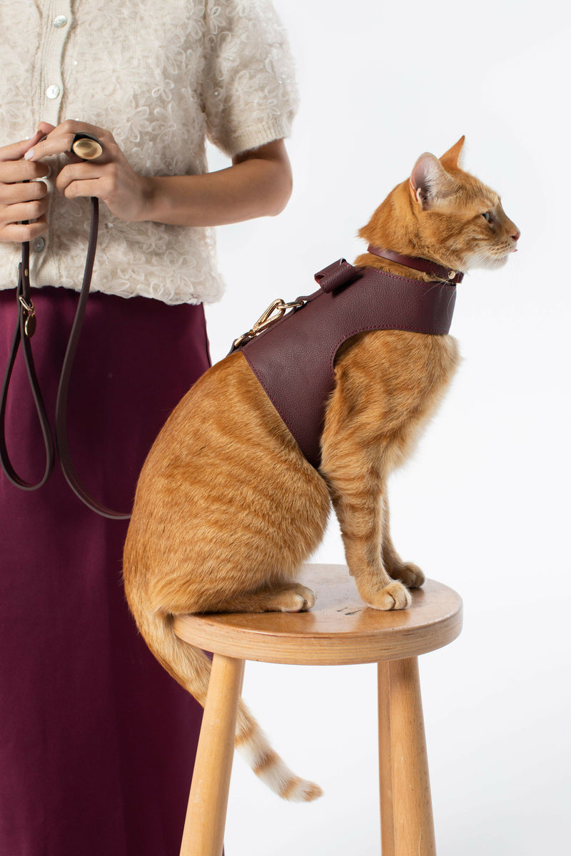 Leather Vest Harness for Cats & Dogs