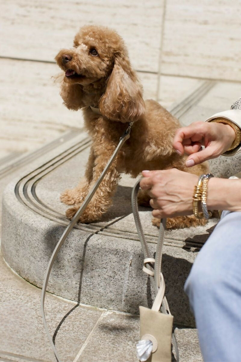 Poop Bag Holder