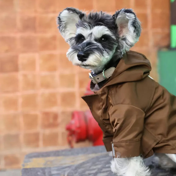 Tribeca Adjustable Velcro Raincoat - Choco Look5
