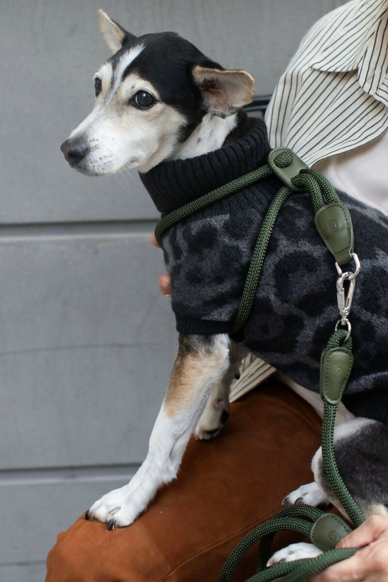 Paracord and Leather Dog Harness