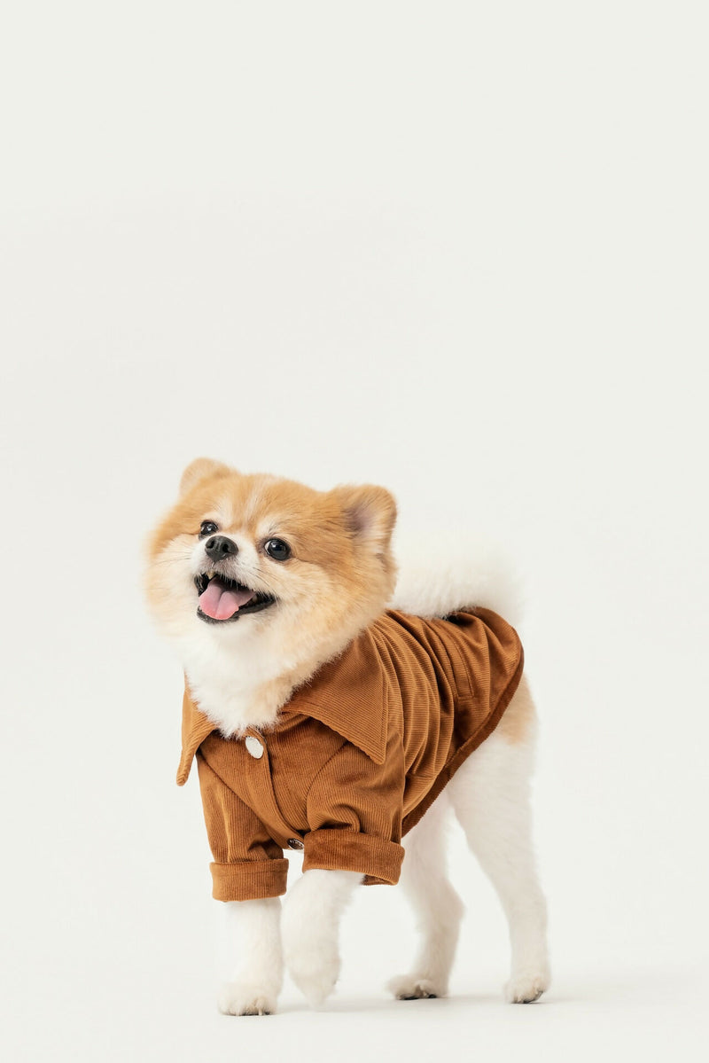 Stainway Shirt - Orange