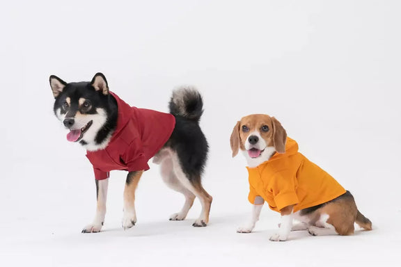 Tribeca Adjustable Velcro Raincoat Burgundy and Egg Yolk