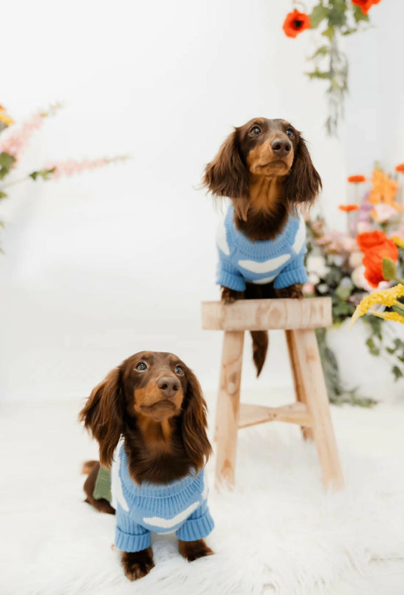 cloud-9-dog-jumper.webp