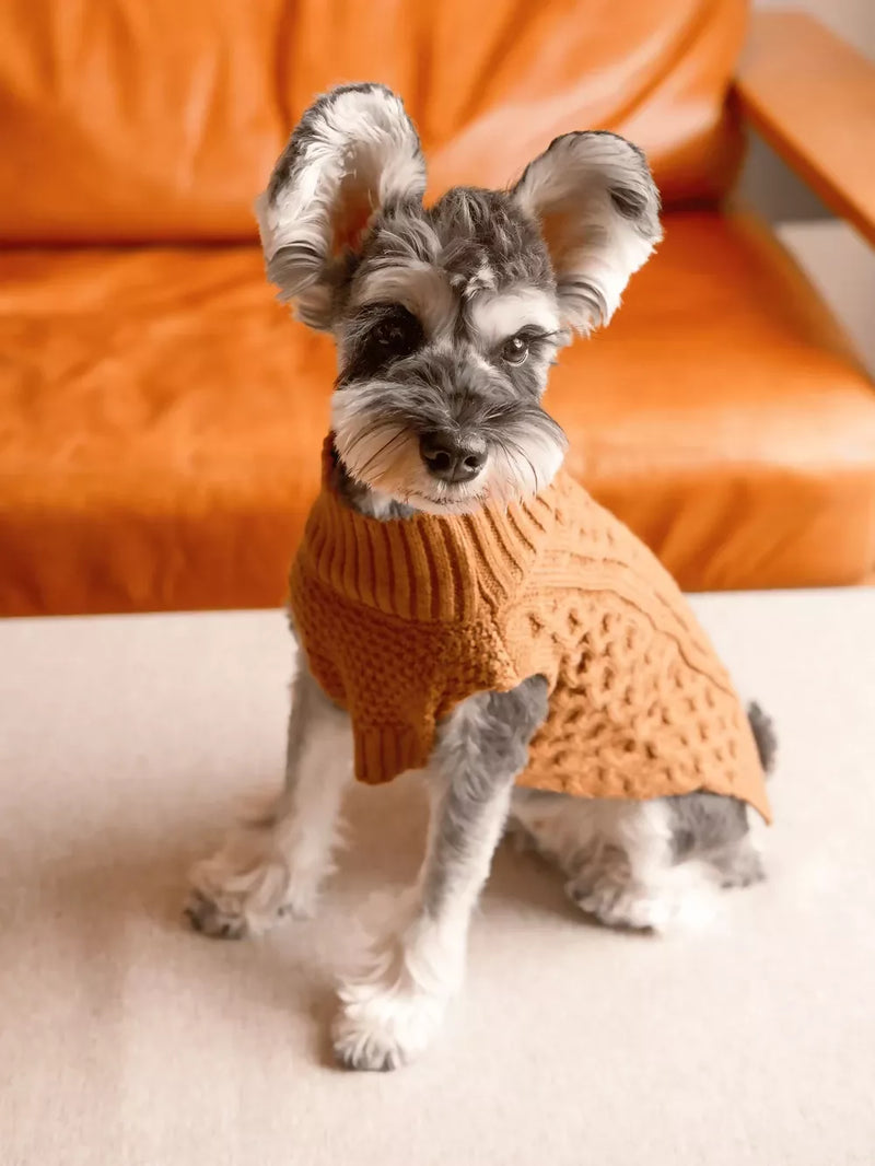 Pet Sweater Vest Toffee Orange Look 3
