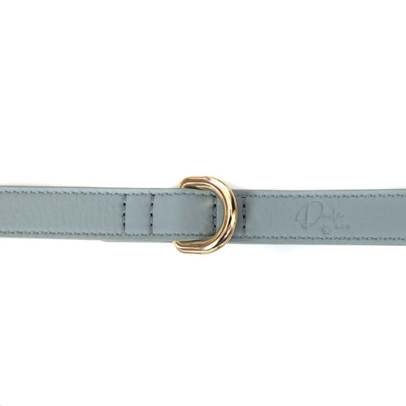 leather-dog-lead.webp