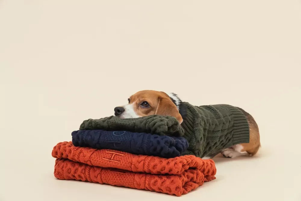Bert Cardigan Sweater 4