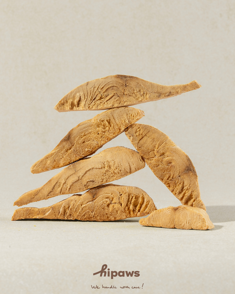 FREEZE-DRIED SALMON FILLETS