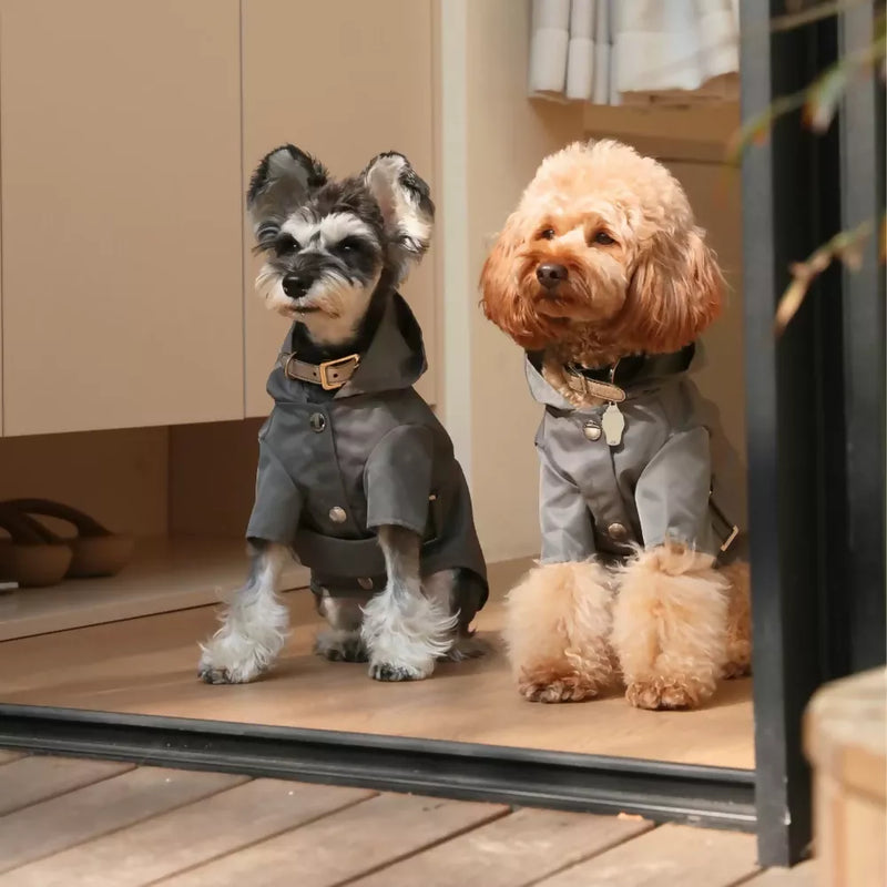 Bowery Raincoat Grey Styling