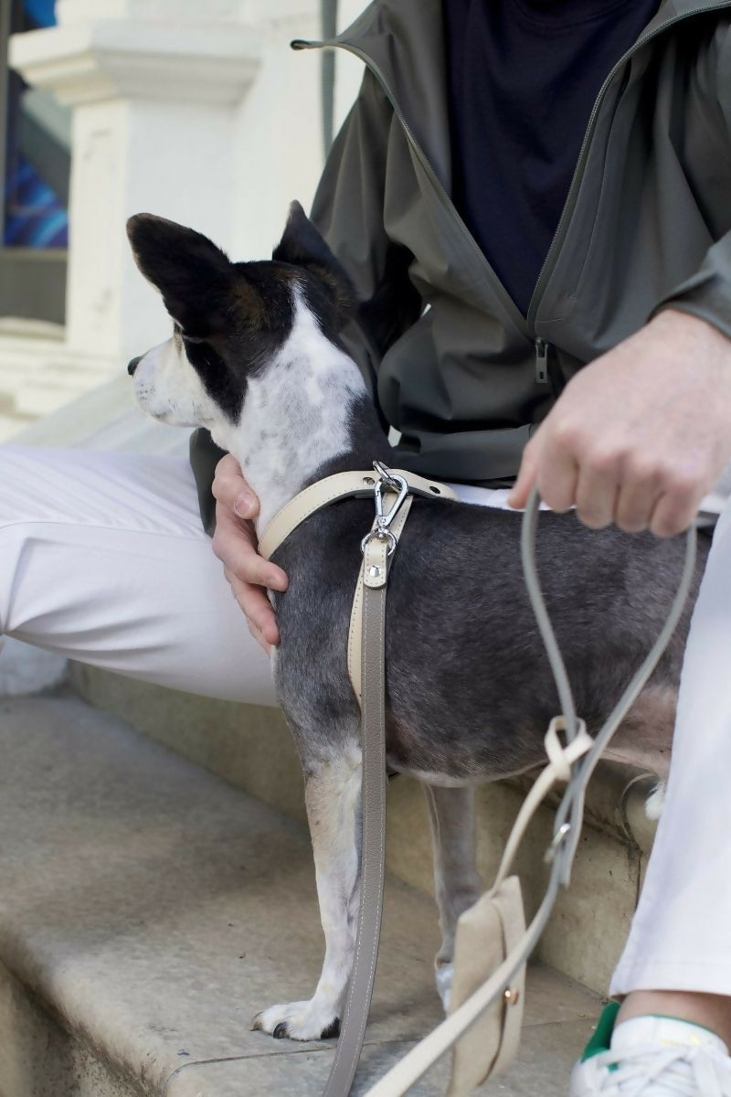 Leather Dog Cross Harness