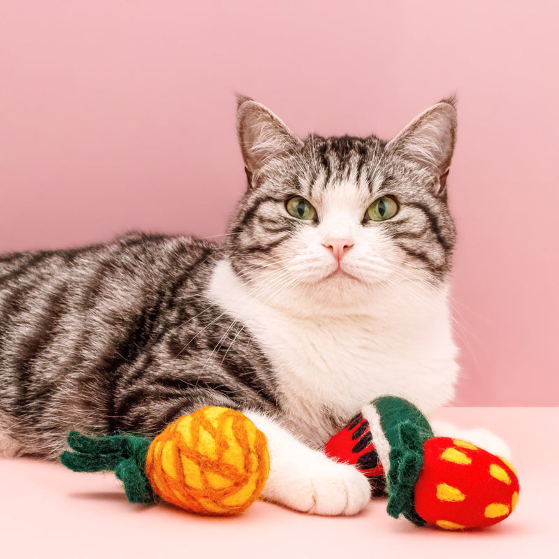 Fruit Basket  - Felt Cat Toy