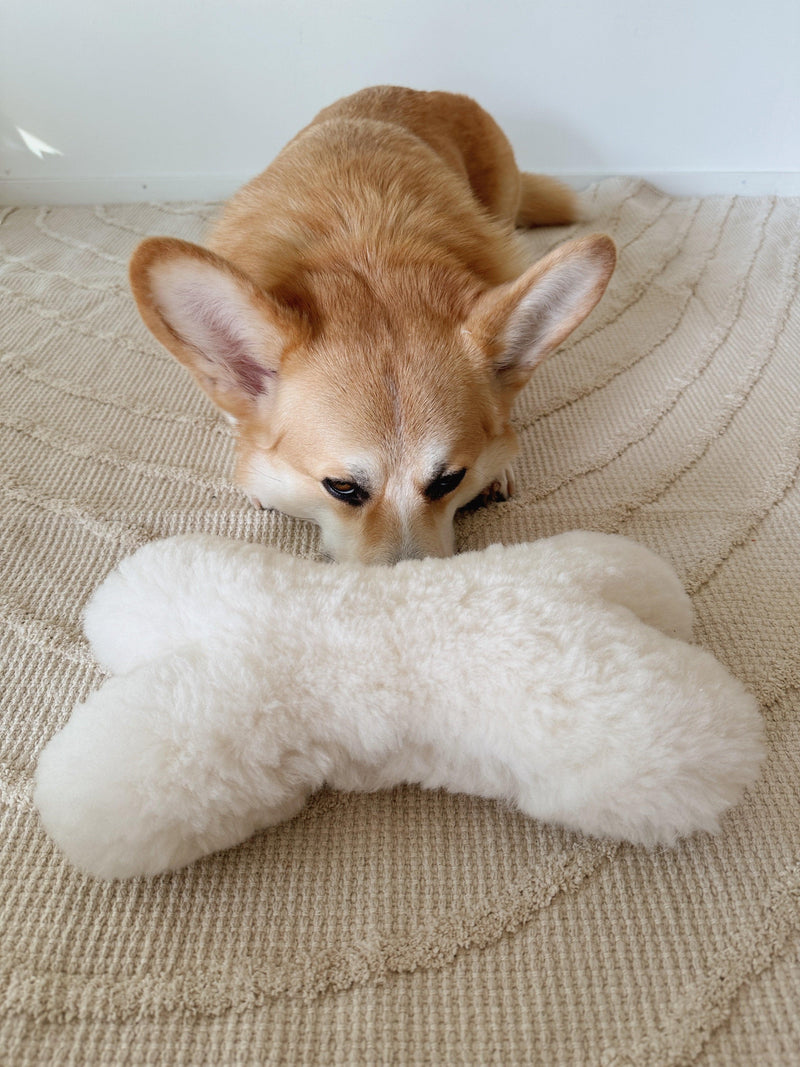 Natural Woolen Dog Toy - Bone - White - MellowConceptStore