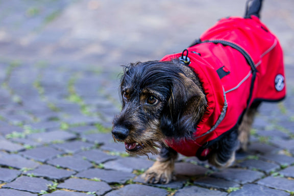 Lotti Bild-40