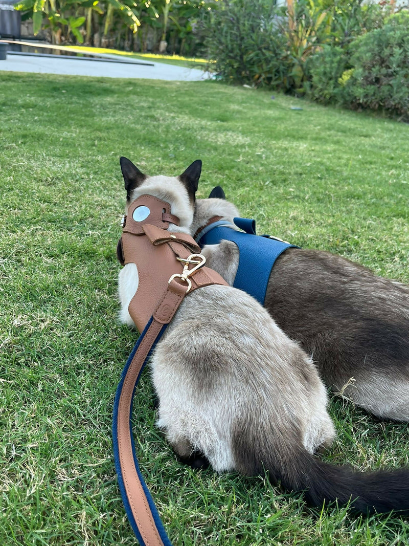 Leather Vest Harness for Cats & Dogs