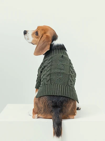 Bert Cardigan Sweater Green Back