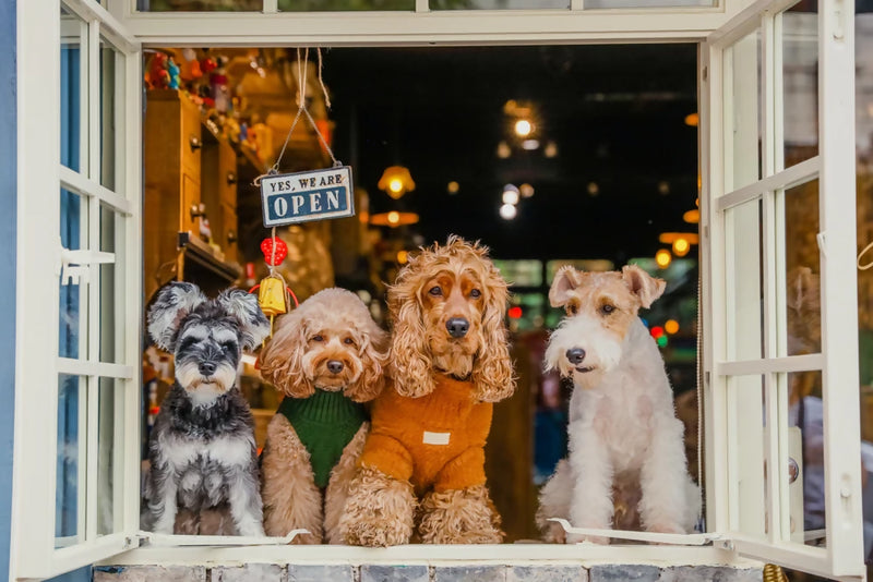 Eskimo Fuzzy Sweater Green & Orange 2
