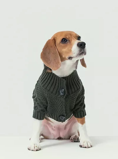 Bert Cardigan Sweater Green Main
