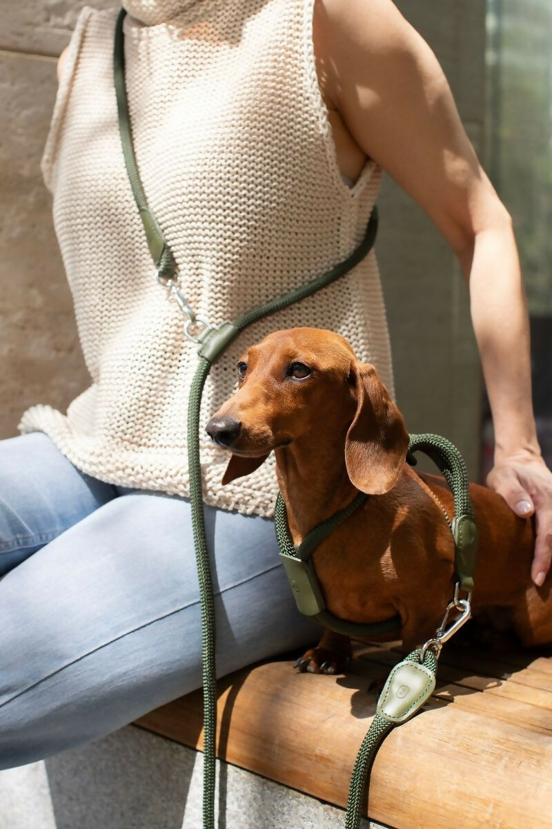 Paracord and Leather Dog Harness