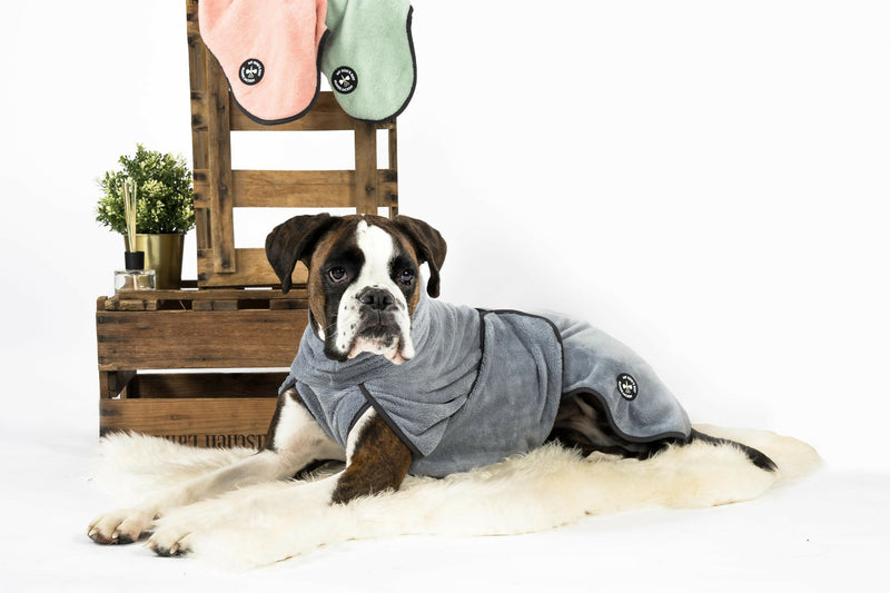 2023-12-21 mydogssuit_456