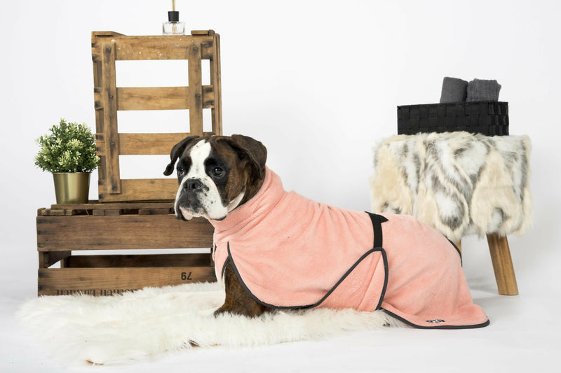 2023-12-21 MyDogSuit_407