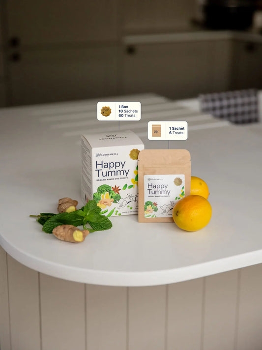 Happy Tummy Dog Treats | Organic Baked Treats for Sensitive Stomachs