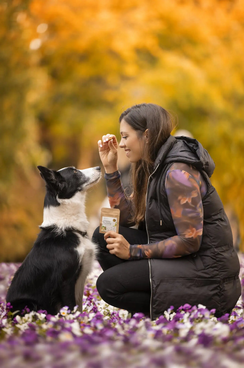 Happy Tummy Dog Treats | Organic Baked Treats for Sensitive Stomachs