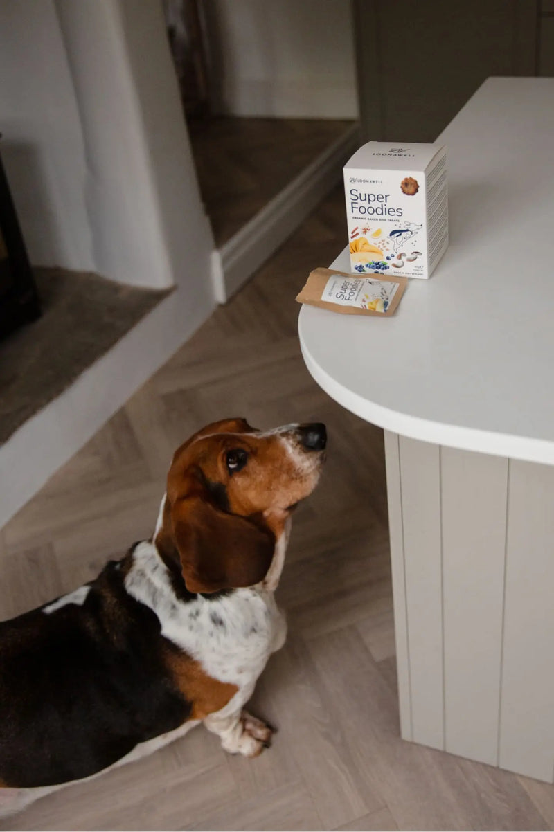 Super Foodies Dog Treats | Organic Antioxidant Baked Treats