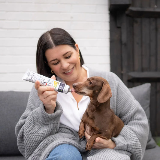 Sardine Pâté for Dogs | Organic Omega-3 Treat (150g)