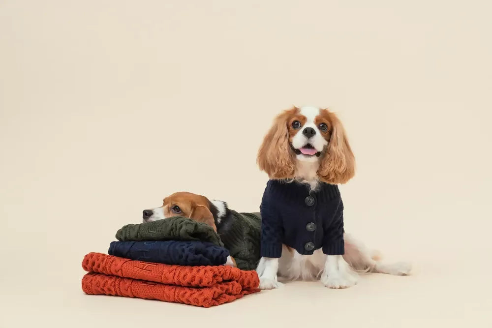 Bert Cardigan Sweater