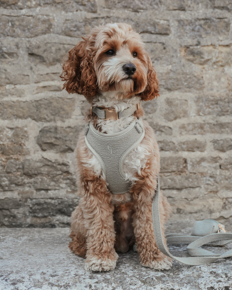 Matcha┃Bouclé Adjustable Harness