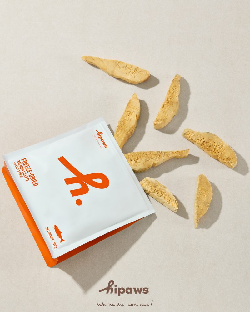 FREEZE-DRIED SALMON FILLETS